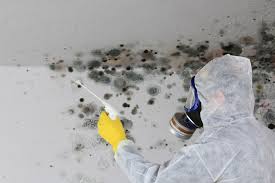 Best Residential Mold Inspection & Testing  in Brownsville, TX